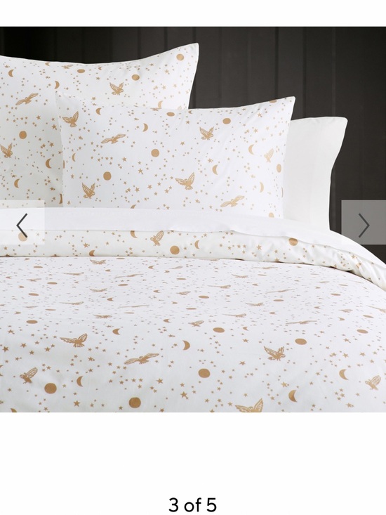 Pottery Barn Teen Other - Pottery barn teen Harry Potter enchanted night sky duvet cover and 2 euro shams